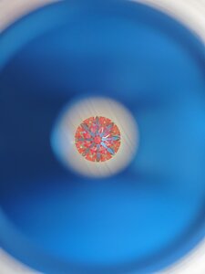 20200924_161117.jpg