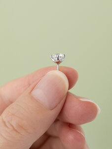 diamond er 250920-1009-2.jpg