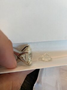 IMG_0004.jpg
