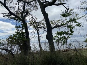 151A3351-4E18-4B25-840E-748AC27FC0AE.jpeg