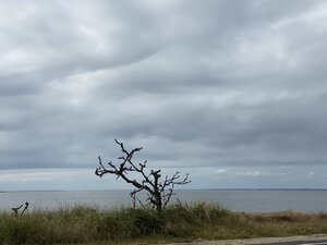 8B7D60DE-2377-405E-BB44-2ED392E20C4E.jpeg