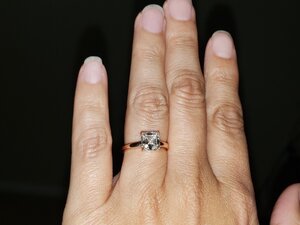 IMG-4850.JPG