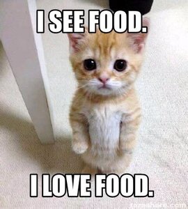 lovefood.jpg