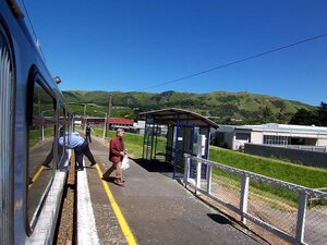N20081222_n20050422_224355-www.y23.com_pics-2008-wgtn2.jpg