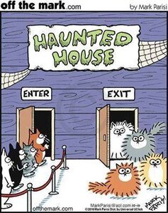 kittyhauntedhouse.jpg