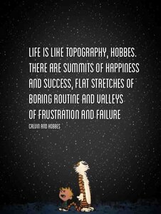 lifecalvinandhobbes.jpg