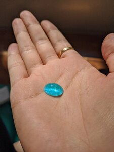 IMG_20201001_113926.jpg