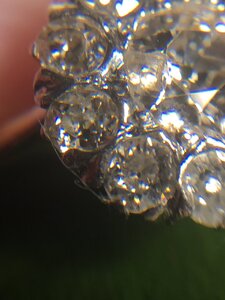IMG_9648.JPG