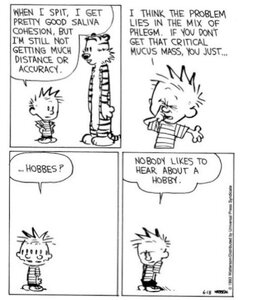calvinandhobbeshobby.jpg calvinandhobbeshobby.jpg