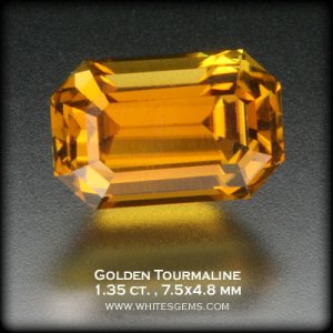 314074.jpg