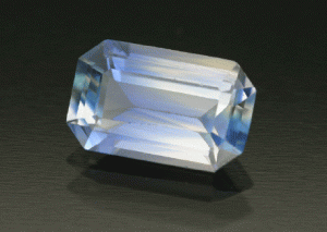 July-2006-BC-Sapp.gif