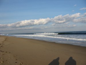 IMG_0059.jpg