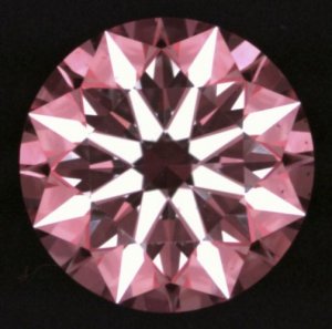 9138705.jpg