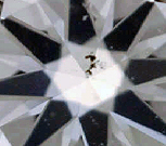 18x.jpg