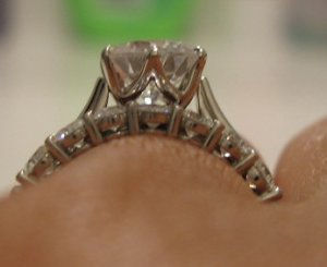IMG_202717.jpg