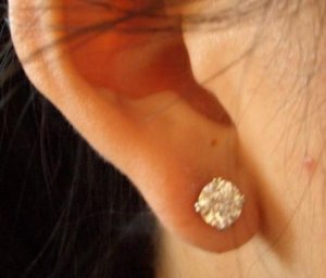WF Earrings 31Jul06_5.jpg
