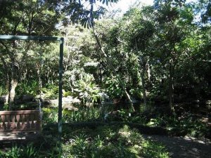CR - Grounds at Monteverde Lodge.JPG