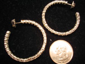 116_1646small.jpg
