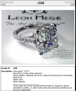 Leon506web.jpg