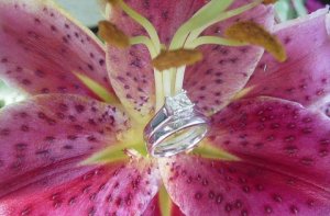 rings_orchard.jpg