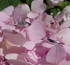 rings_pink.jpg