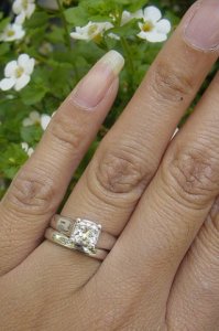 handpic_whiteflowers.jpg