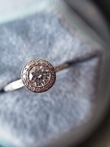 20201004_113234.jpg