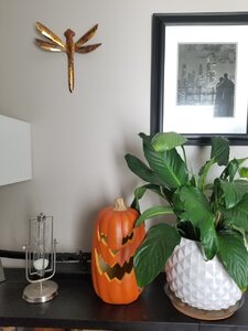 20201005_130729[1].jpg