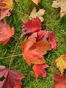 20201007_144250.jpg