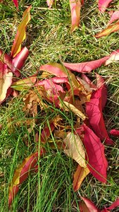 20151109_135814.jpg