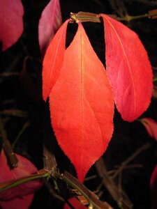 IMG_1719.JPG