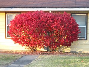 IMG_1743.JPG