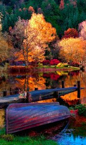 autumnscene.jpg