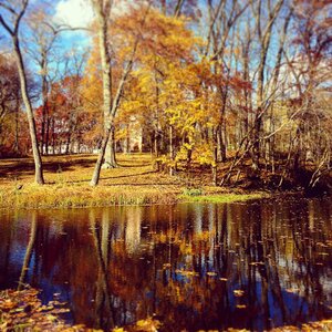 fall.jpg