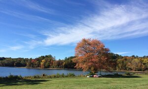 18028503-662C-4D5E-B878-CF44C7AA52D3.jpeg