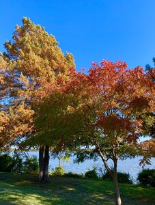 1B59C555-A910-457F-B999-E36218A9B378.jpeg