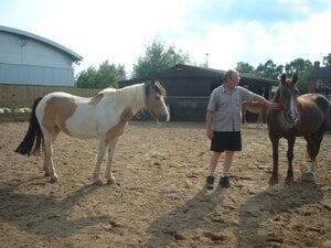 Bryan & the 3 horses.jpg