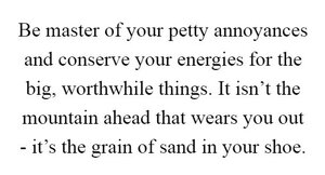 be-master-of-your-petty-annoyances-and-conserve-your-energies-for-the-big-worthwhile-things-it...jpg