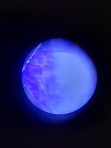 20200905_151348.jpg