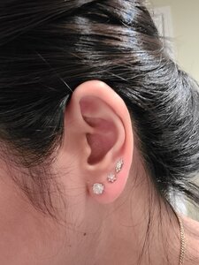 20201009_220024.jpg