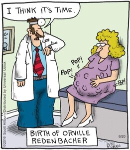 orvillebirth.jpg