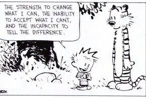 calvinandhobbesserenity.jpg