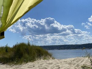 3B9A7709-23DB-4029-B3E8-AE0F6B42448F.jpeg