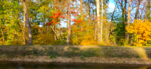 autumnbytheshore.png