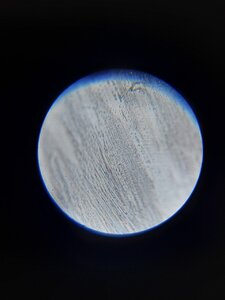 20201015_155217.jpg