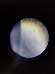 20201015_160351.jpg