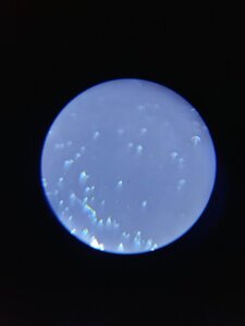 20201016_002958.jpg