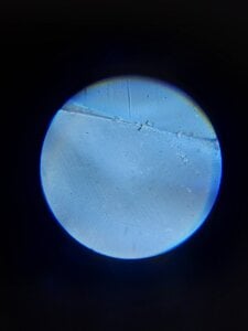 20201015_154958.jpg