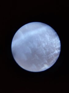 20201015_165859.jpg