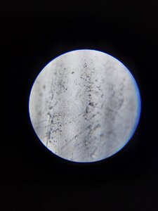 20201016_222730.jpg